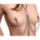 Collare con morsetti collar nipple and clit