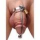 Gabbia di castita asylum locking chastity brace