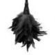 Piumino fetish fantasy series frisky feather duster