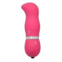 Mini vibratore g-spot Timeless Soft Caress (fucsia)