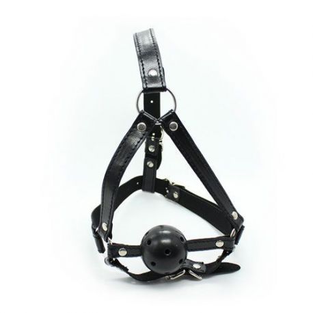 Imbracatura Viso con morso Head Harness+Ball Gag