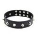 Collare Spikes Collar black