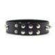 Collare Spikes Collar black