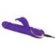 Vibratore rabbit skater purple