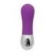 Mini Vibratore Timeless Pussy Adorer (viola)