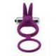 Anello Fallico Timeless Dual Ring viola