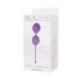 Palline delight pussy lichee silicone purple